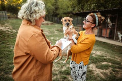 Pet Event Sebagai Tempat Adopsi: Mencari Rumah Baru untuk Hewan Terlantar