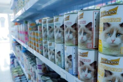 Tips Hemat: Cara Membeli Kebutuhan Kucing di Pet Shop dengan Anggaran Terbatas