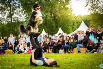 Rekomendasi Agenda Seru Mengenai Event: 10 Pet Event Terbaik untuk Pecinta Hewan di Indonesia